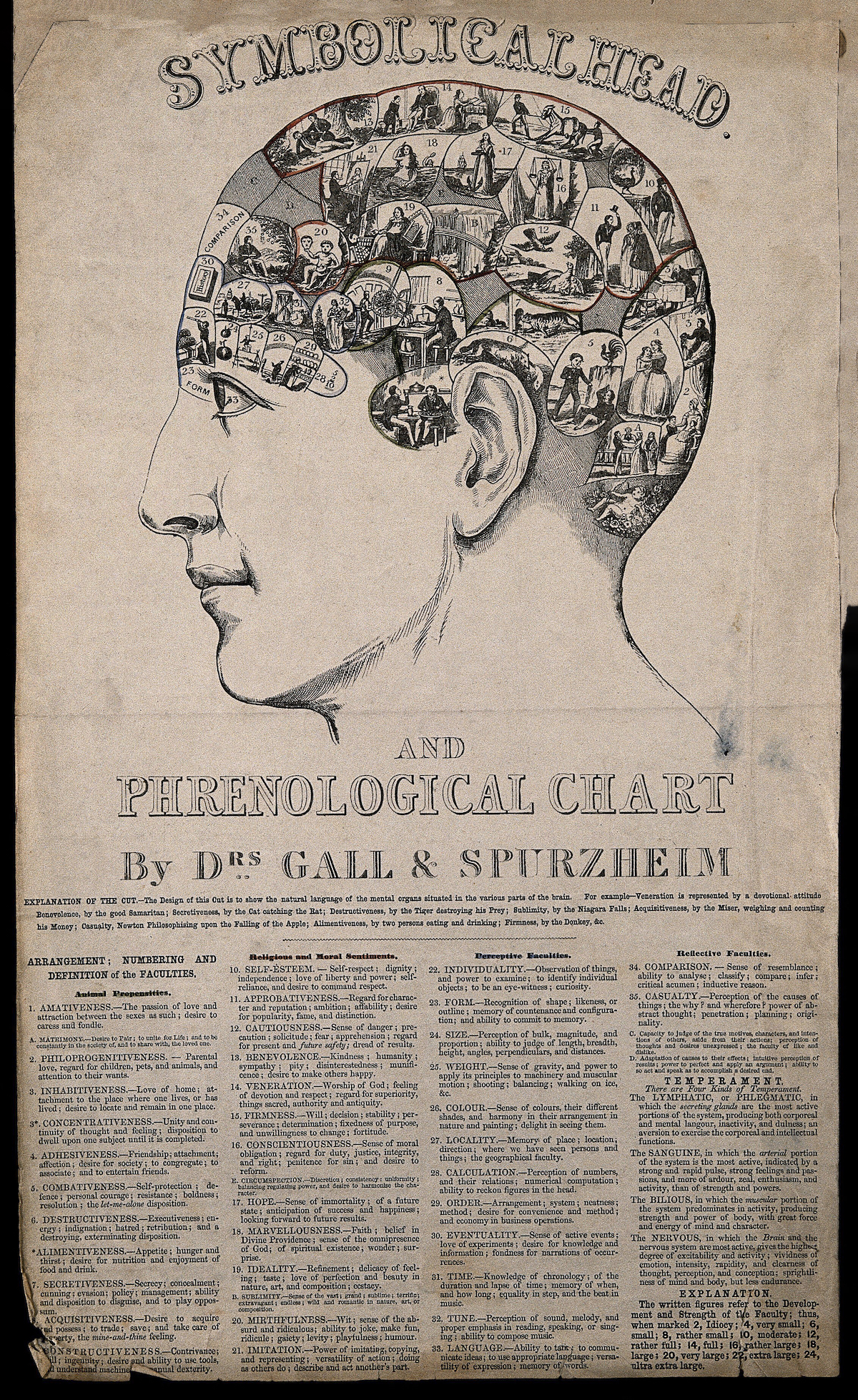 ‘Symbolical head’ containing images symbolising the phrenological faculties, c.1845. Wellcome Collection. Public Domain.