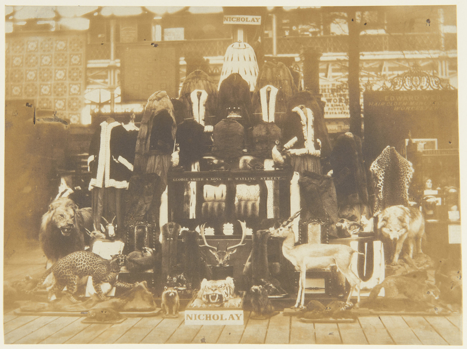 Photograph showing a collection of furs and taxidermy assembled by Nicholay and Son, London and exhibited at the Great Exhibition by Claude-Marie Ferrier, 1851.