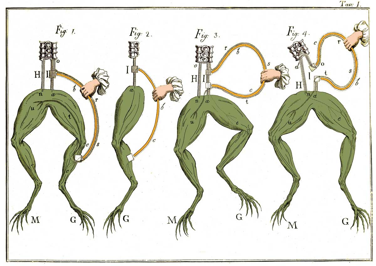 Galvani’s frog experiments, 18th-century illustration. Alamy.
