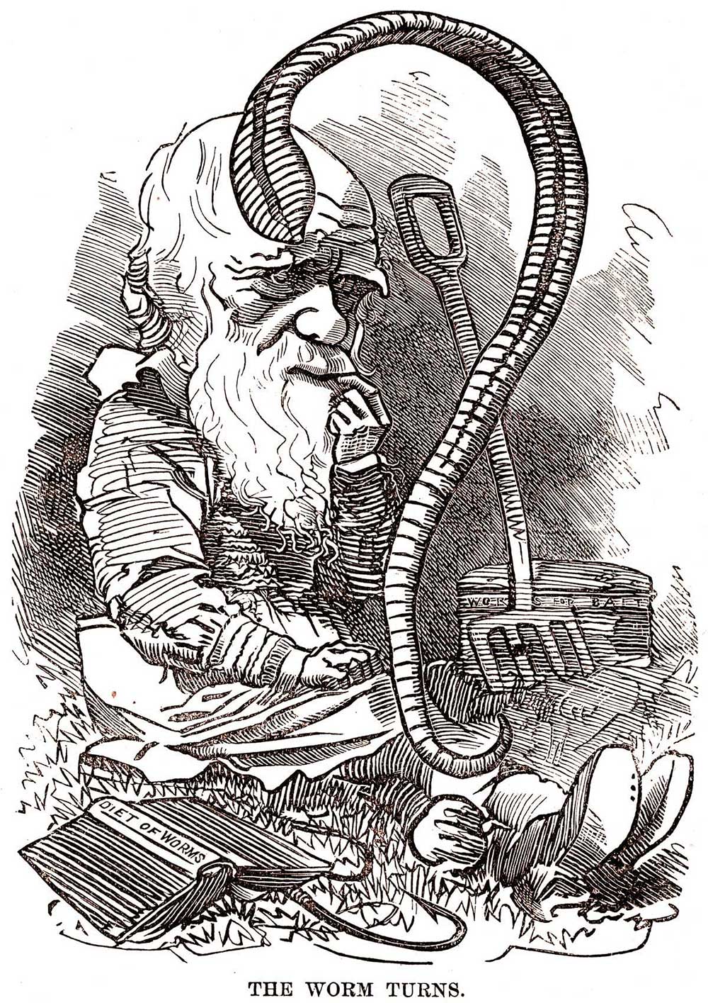 'The Worm Turns': cartoon of Darwin and an earthworm, Popular Science Monthly, c.1881. Bridgeman Images.