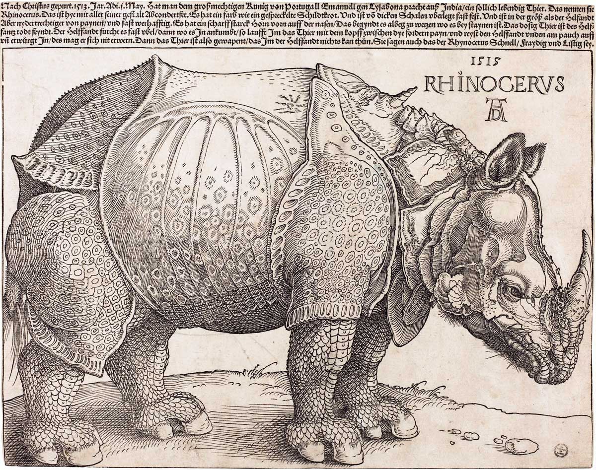 Rhinoceros, by Albrecht Dürer, woodcut, 1515. National Gallery of Art, Washington DC / Wikimedia/Creative Commons.