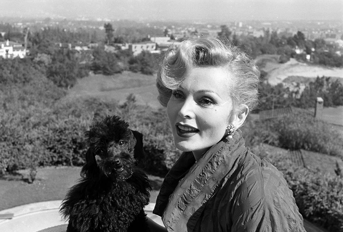 Storied life: Zsa Zsa Gabor with her poodle, Farouk, c.1960 © Ed Clark/LIFE/Getty Images