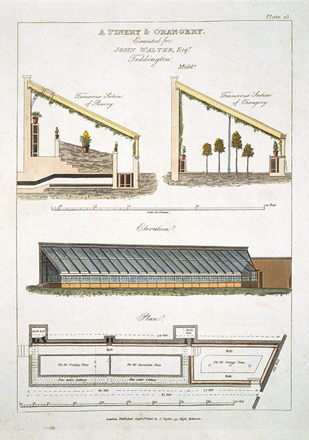 A design for a pinery and orangery at Teddington, Middlesex, 1806. 