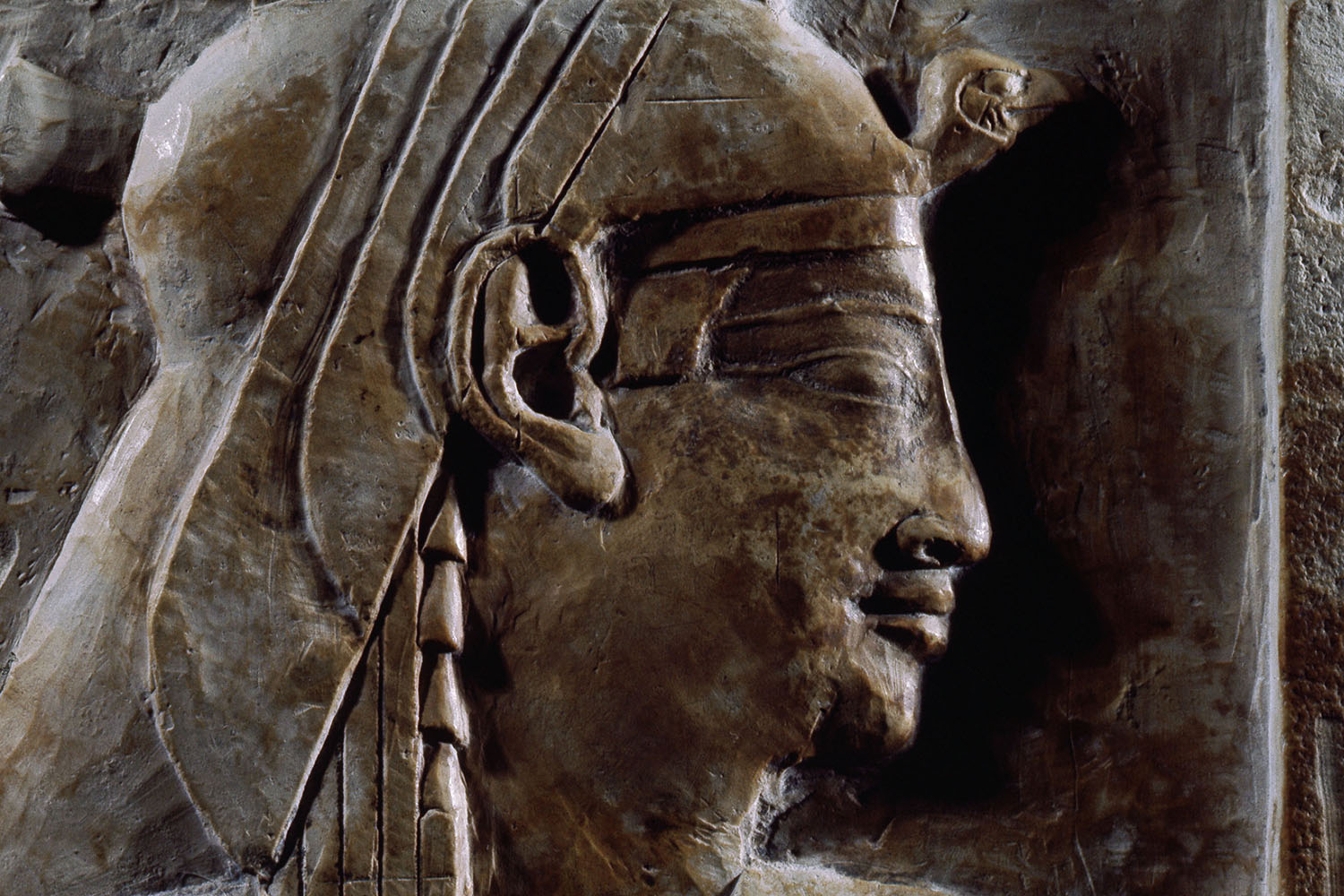 A fragment of a Ptolemaic relief believed to show Queen Cleopatra. 