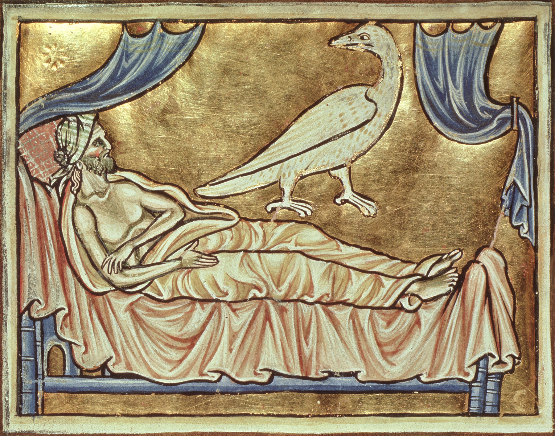 A caladrius bird, which foretold the fates of the sick, over a man in his bed, from a 13th-century copy of the ‘Physiologus’, Durham.