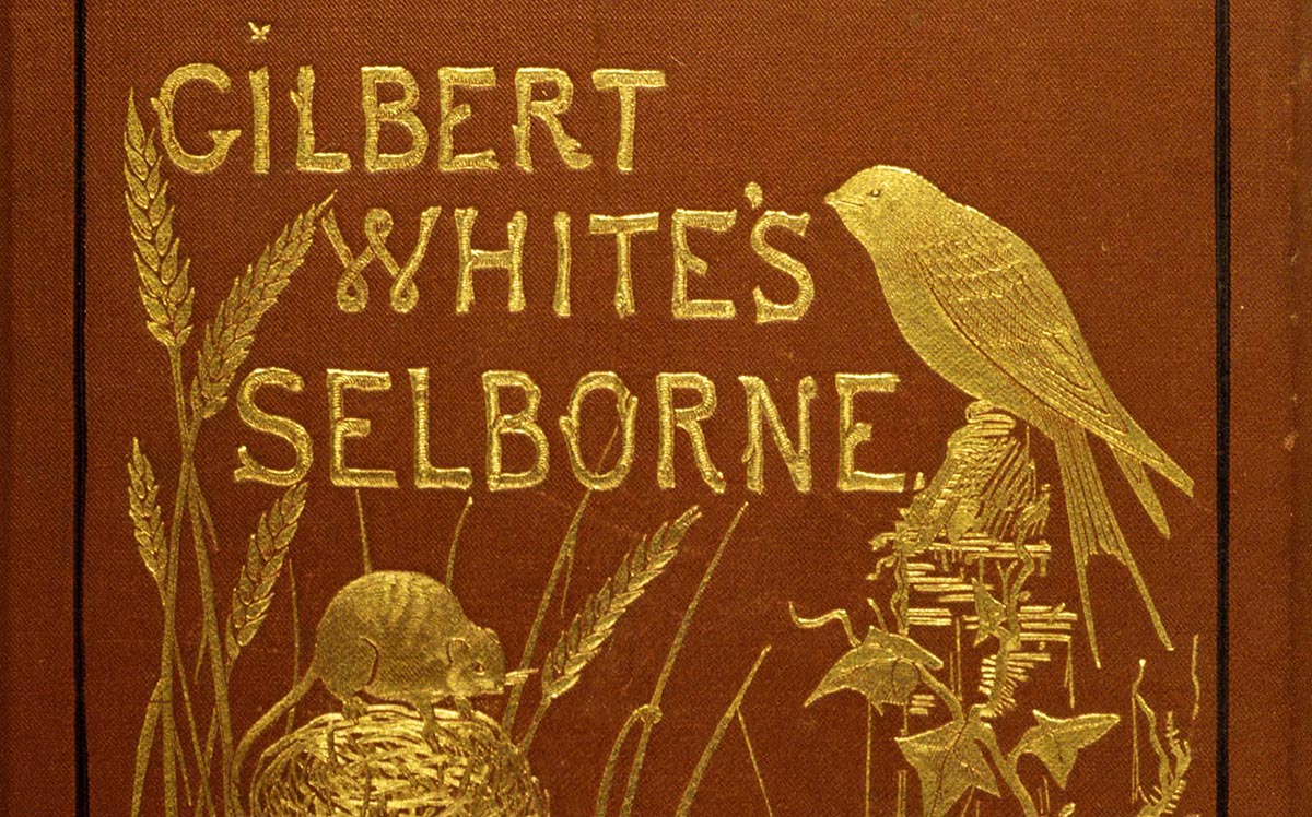 Detail from the cover of Gilbert White’s Selborne, early 20th century