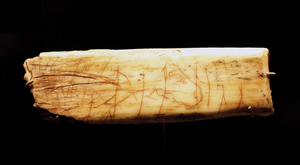 The Ochre Horse, equine rib inscribed with horse image. Courtesy Dave, Nottingham/Wikimedia Creative Commons