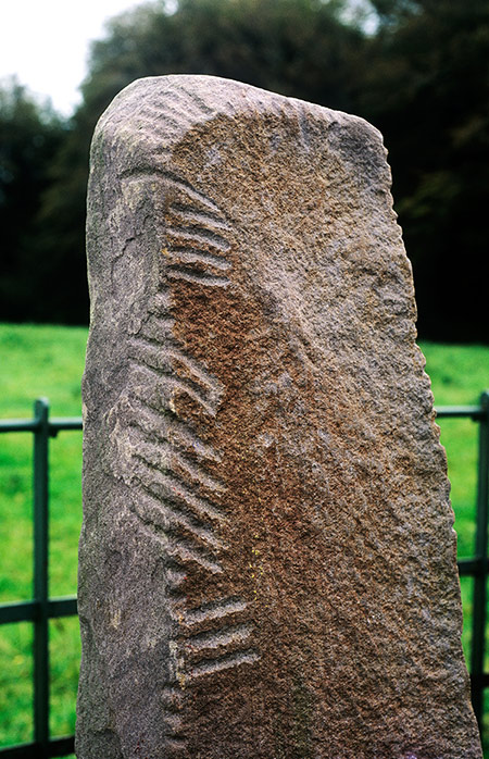 The Story of Ogham | History Today