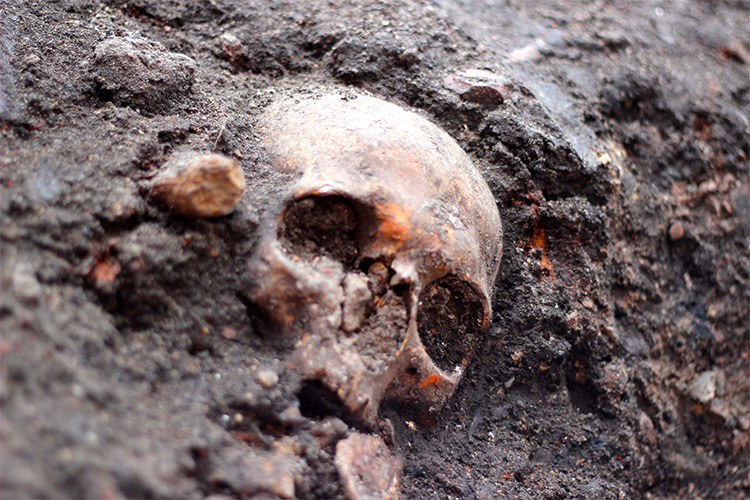 A skull at the Crossrail dig, London