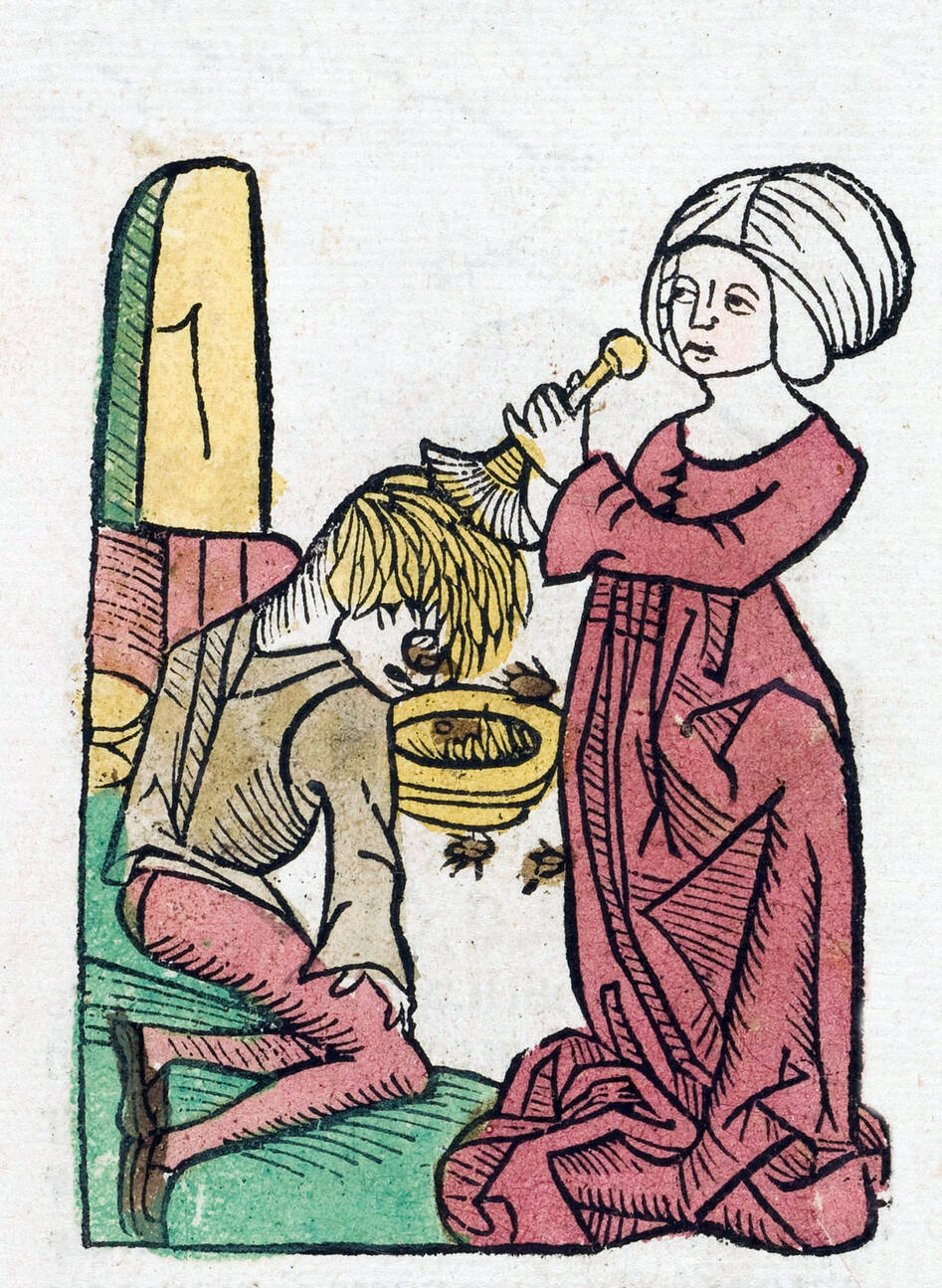 Delousing, in the Garden of Health, published by Jacob Meydenbach, Germany, 1491. Science History Images/Alamy Stock Photo.