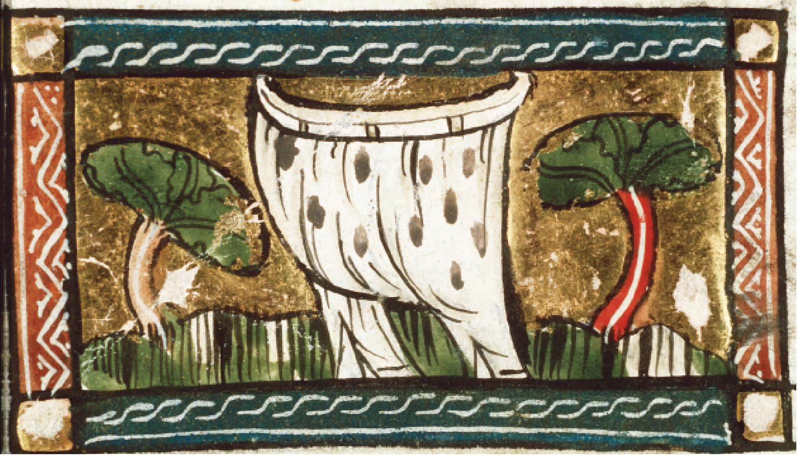 ‘Maggots’, from Der naturen bloeme, Jacob van Maerlant, c.1270. The Picture Art Collection/Alamy Stock Photo.