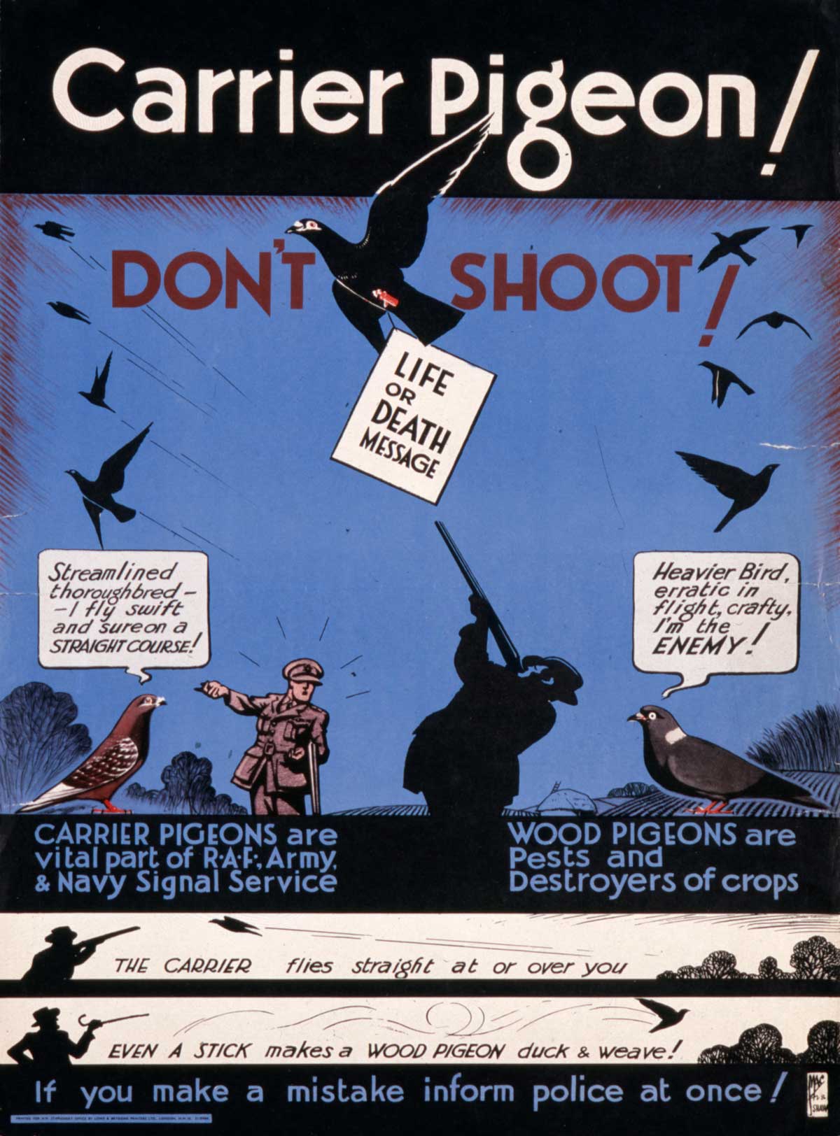 wartime poster warning people of the dangers of shooting carrier pigeons, 1940s.