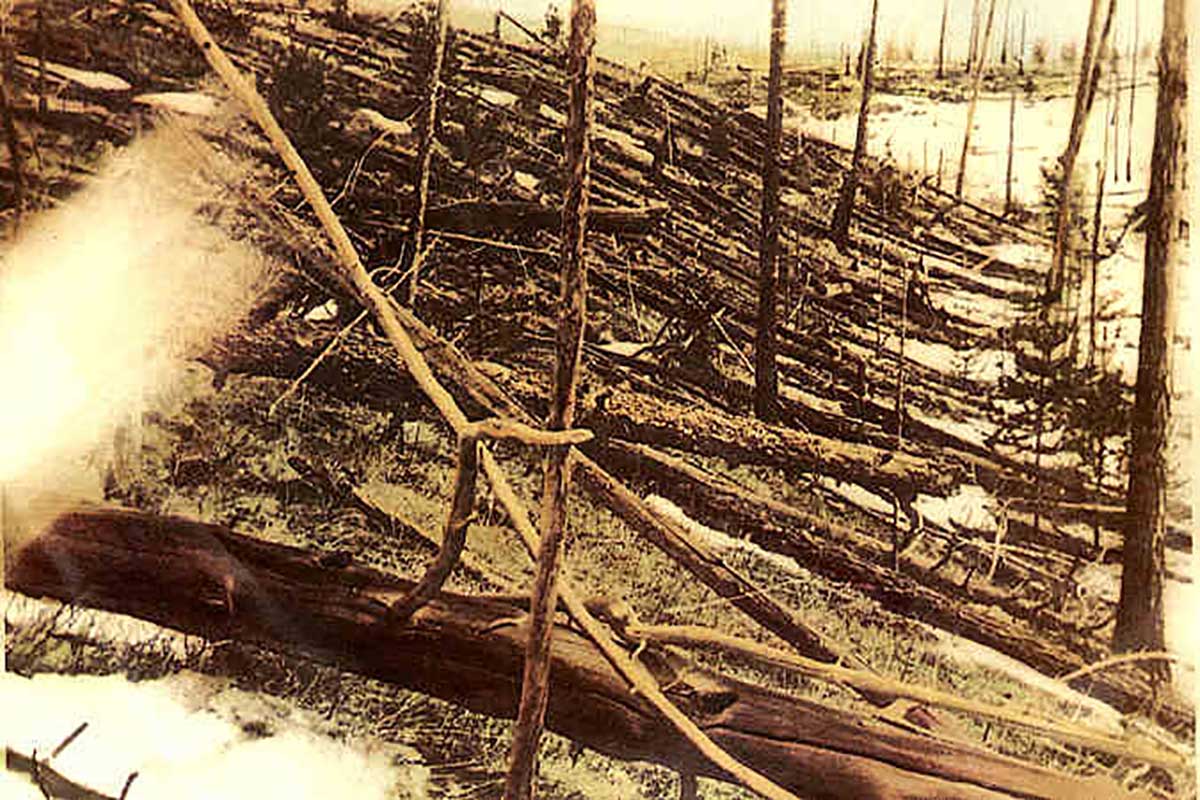 Fallen Trees at Tunguska. Photograph from the Soviet Academy of Science 1927 expedition. Wiki Commons.