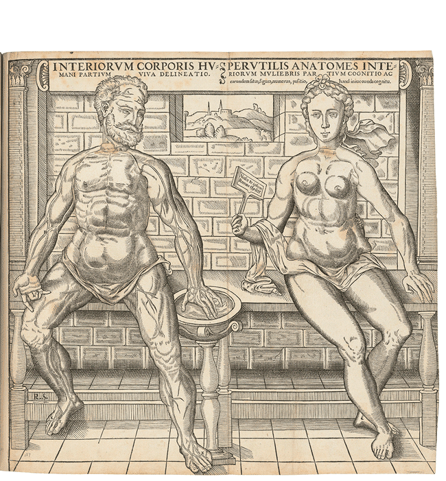 Anatomical fugitive sheets, Wellcome Collection.