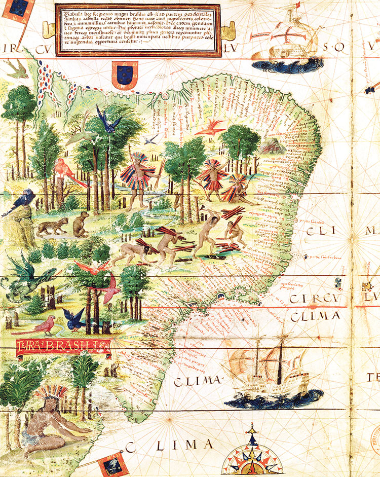 A chart of Brazil by the Portuguese cartographer Fernão Vaz Dourado, 1571.