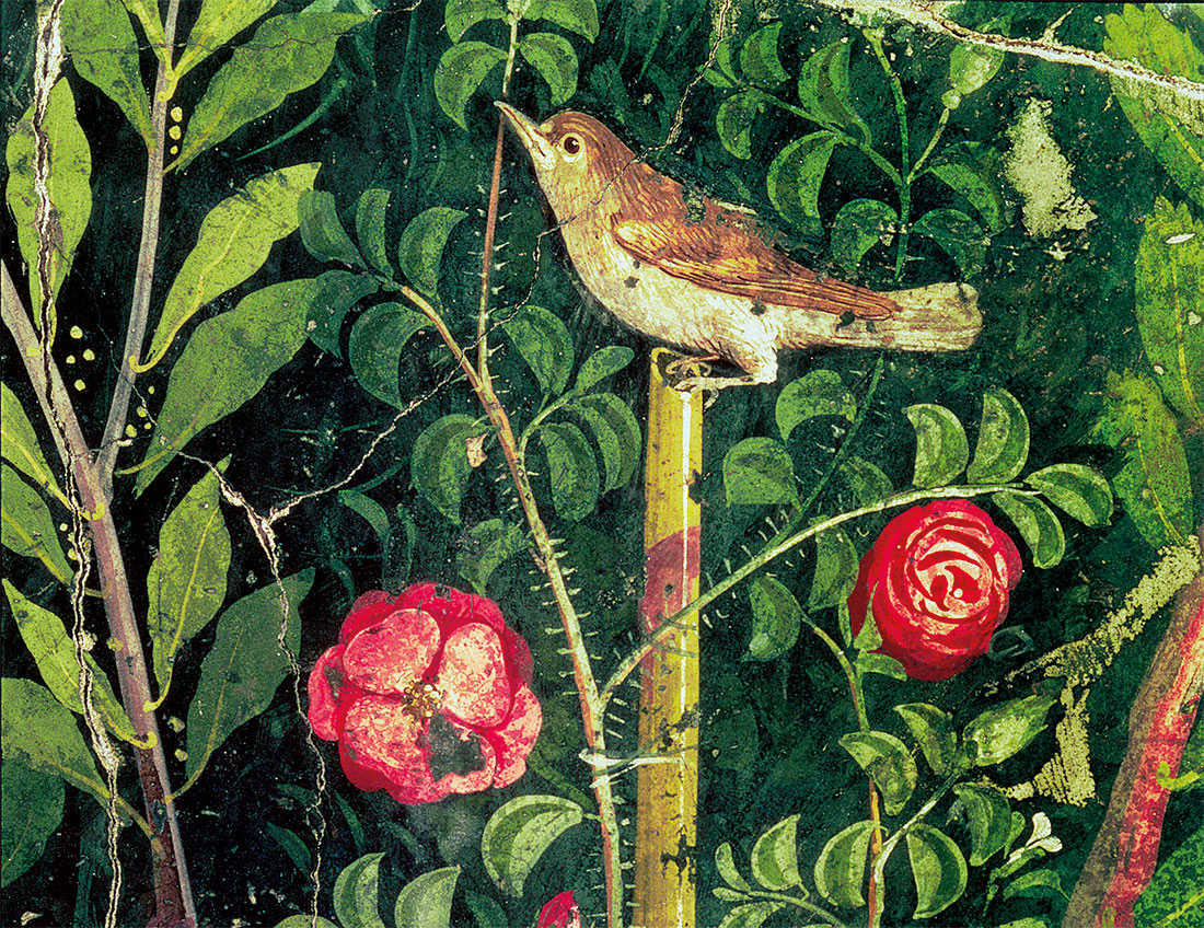 Wall painting of a bird in a garden, Pompeii, first century AD.
