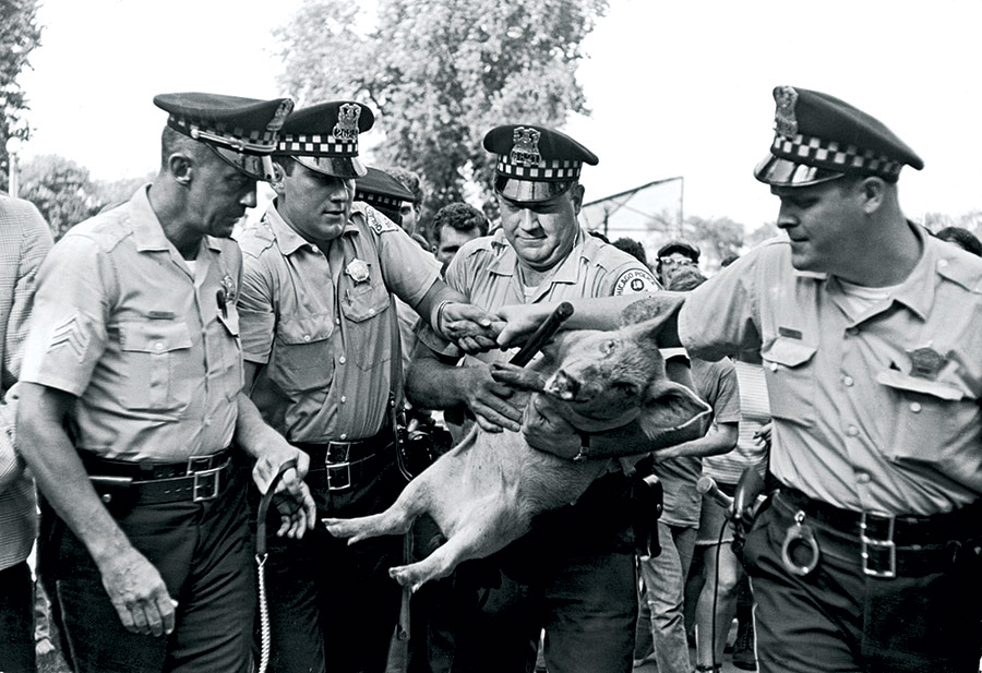 Pigasus, the ‘Presidential Candidate’ for the Youth International Party, is ‘arrested’ in Chicago, 23 August 1968.
