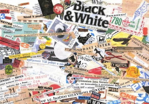 ‘Who Owns This Sentence?’ review