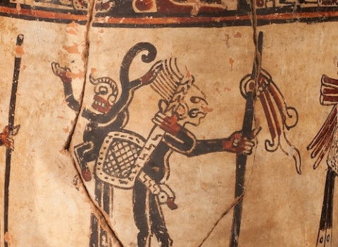 ‘The Tame and the Wild’ by Marcy Norton review