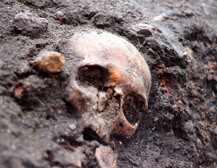 A skull at the Crossrail dig, London