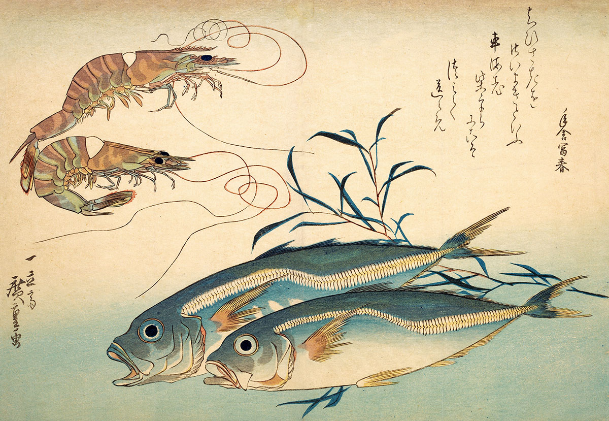 Horse mackerel and tiger prawns in a print by Horishige, 19th century.