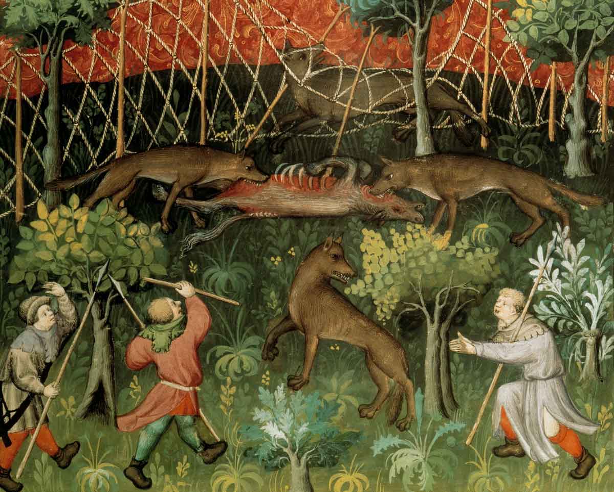  A wolf hunt, from the Livre de chasse, by Gaston Fébus, c.1407 © akg-images.