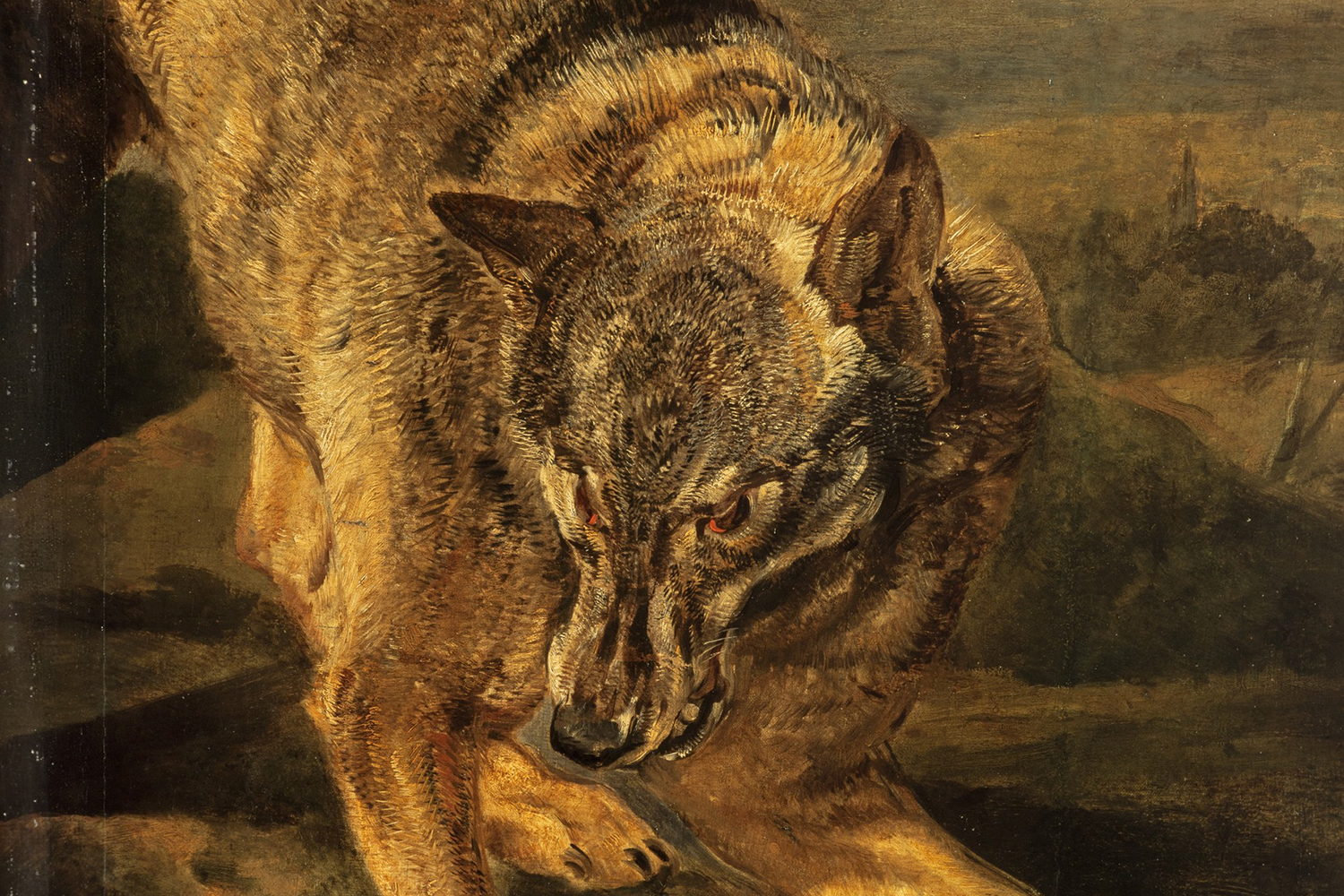 A Wolf, Jan Fyt, c.1650.