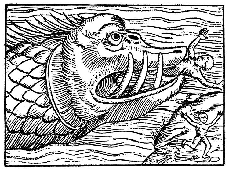 Sea monster, medieval woodcut, c.1600.