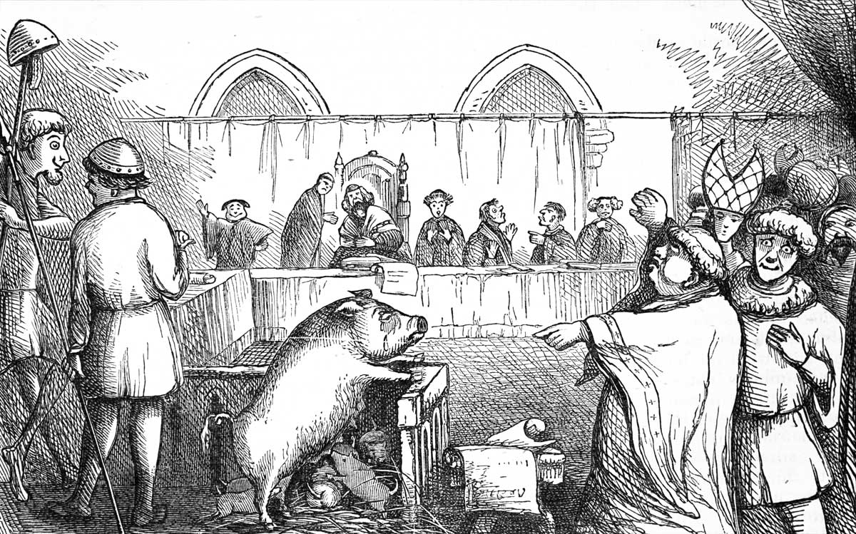 ‘Trial of a Sow and Pigs at Lavegny’, French illustration, 1849 © Getty Images.