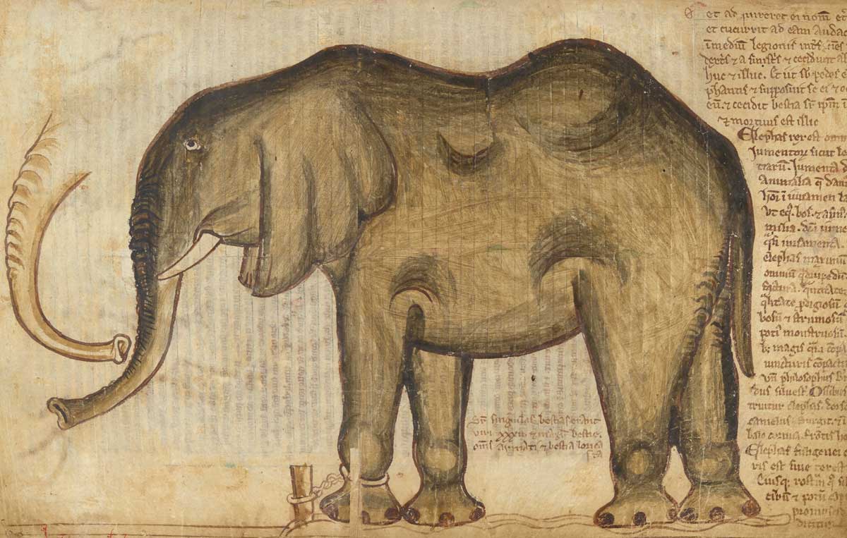 Elephant presented to Henry III by Louis IX of France, 1255. From the Liber additamentorum by Matthew Paris © British Library Board/Bridgeman Images.