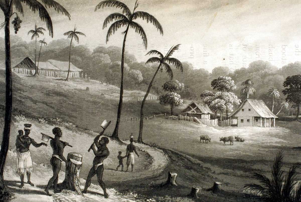 Mibiri Creek, Demerara River, British Guiana. Sketched by Thomas Staunton St Clair, 1808, slaveryimages.org. The timber estate owned by Charles Edmonstone. Edmonstone returned to live at Cardross park, Dunbartonshire in 1817.