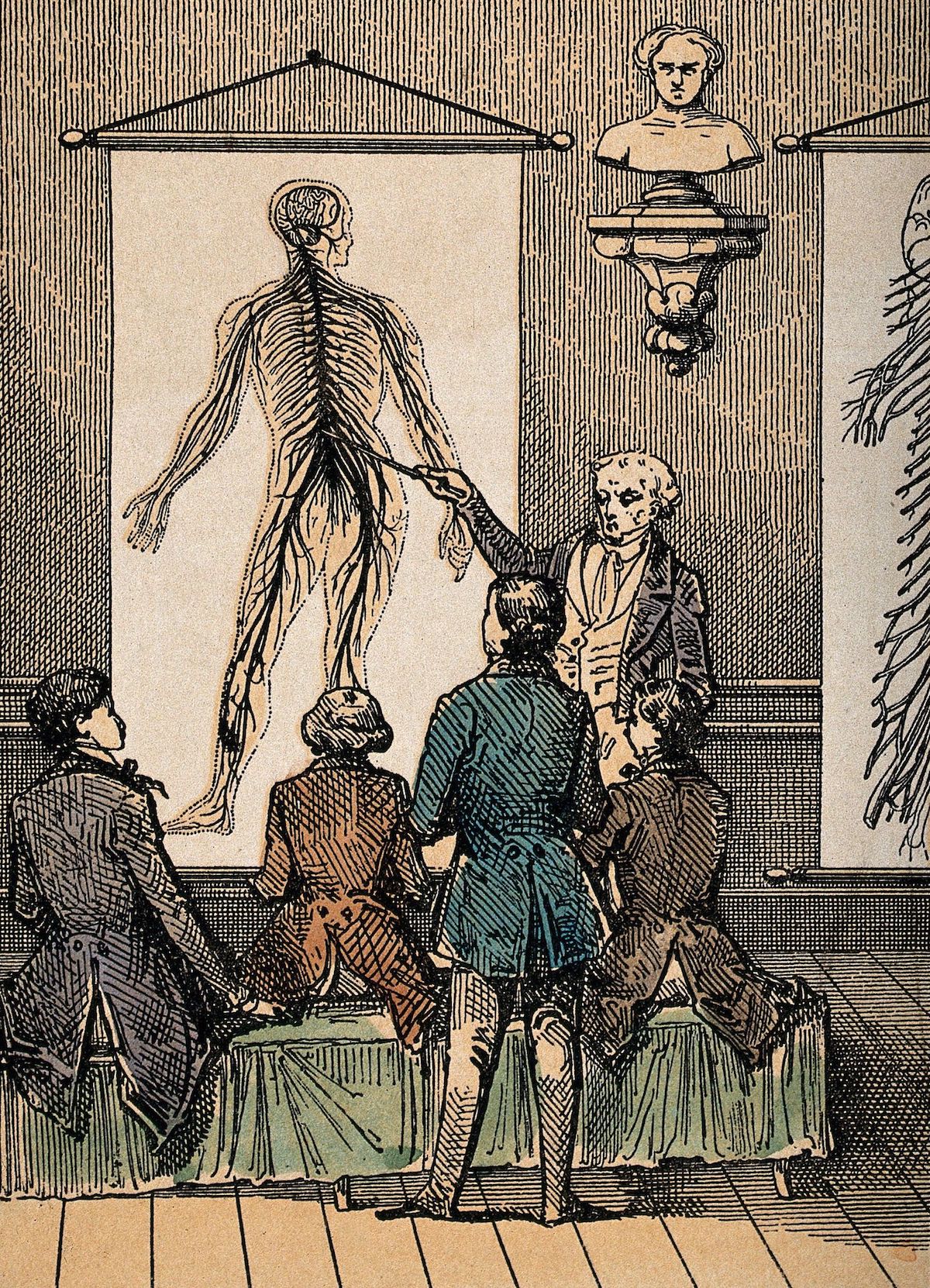 A lecture on the nervous system, by C. Bethmont, c.1860. Wellcome Collection. Public Domain.