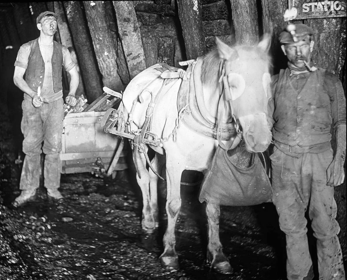 Miners and a pit pony, Baldwin’s Clog and Legging Mine, South Wales, c.1910. Chronicle/Alamy Stock Photo.