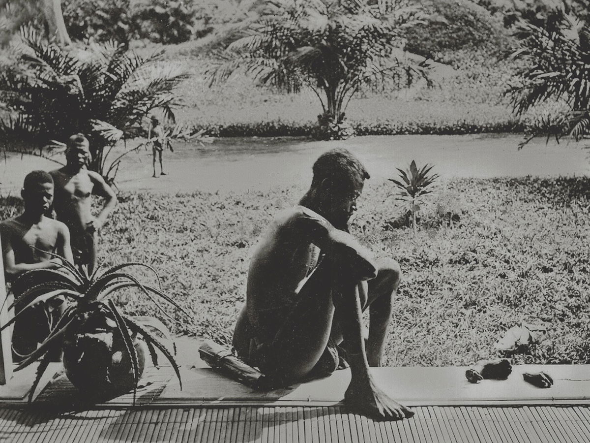 A Congolese man looks at a severed hand and foot, cut off by soldiers of the colonial Force Publique to enforce rubber quotas. Museum of Ethnography. Public Domain. A Congolese man looks at a severed hand and foot, cut off by soldiers of the colonial Force Publique to enforce rubber quotas. Museum of Ethnography. Public Domain.