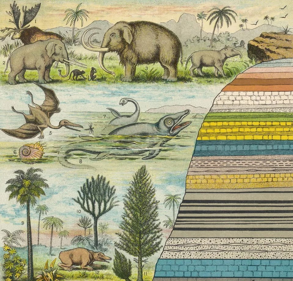 ‘Geology and Palaeontology’, from Cassell’s Natural History, 1896. Mary Evans Picture Library.