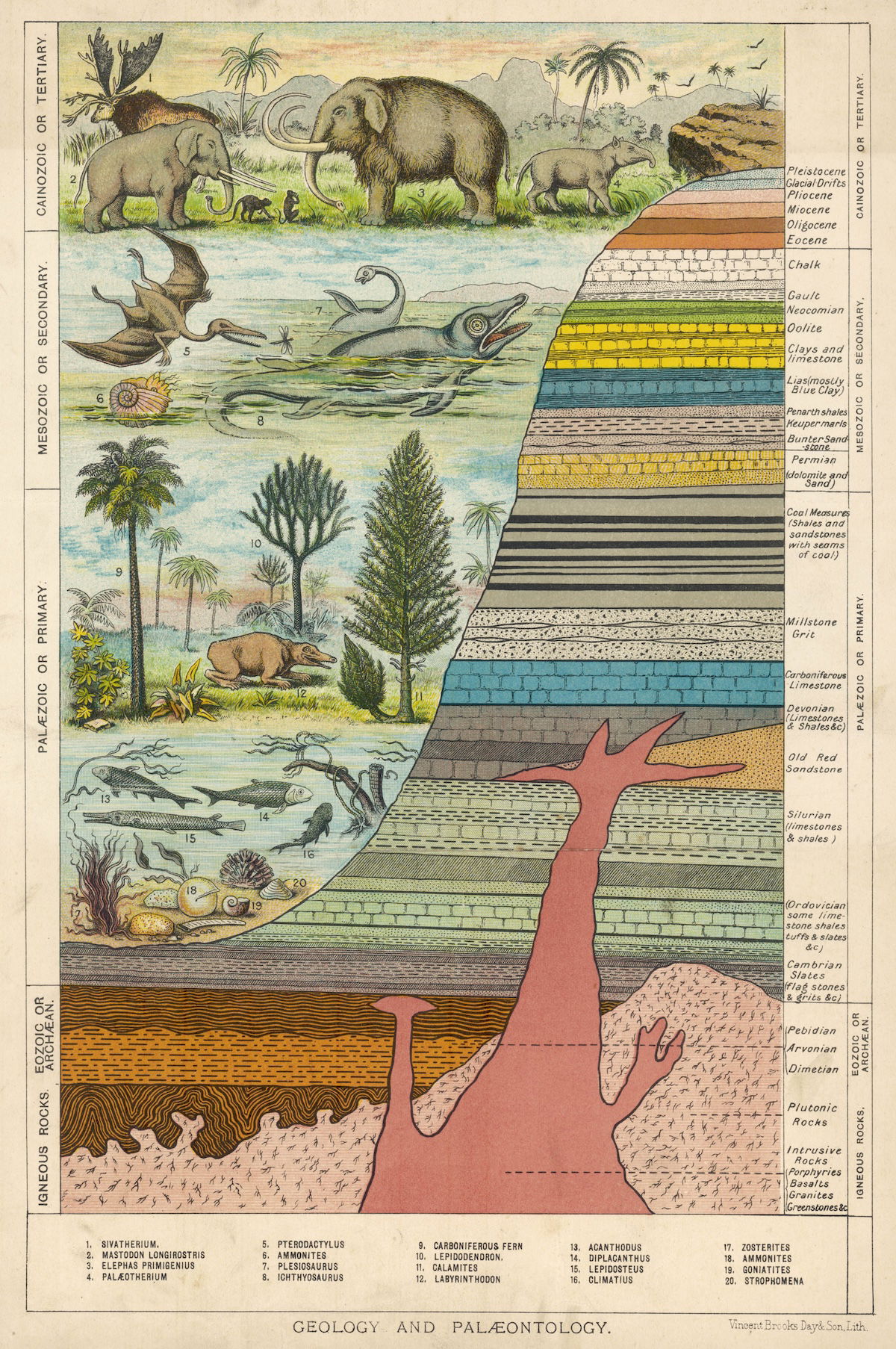 ‘Geology and Palaeontology’, from Cassell’s Natural History, 1896. Mary Evans Picture Library. ‘Geology and Palaeontology’, from Cassell’s Natural History, 1896. Mary Evans Picture Library.