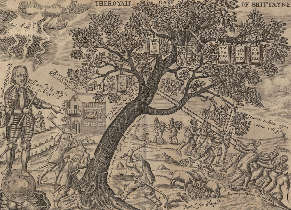 Oliver Cromwell chopping down ‘The Royall Oake of Brittayne’, 1653. Prints, Drawings and Watercolors from the Anne S.K. Brown Military Collection. Brown Digital Repository. Brown University Library. Public Domain.