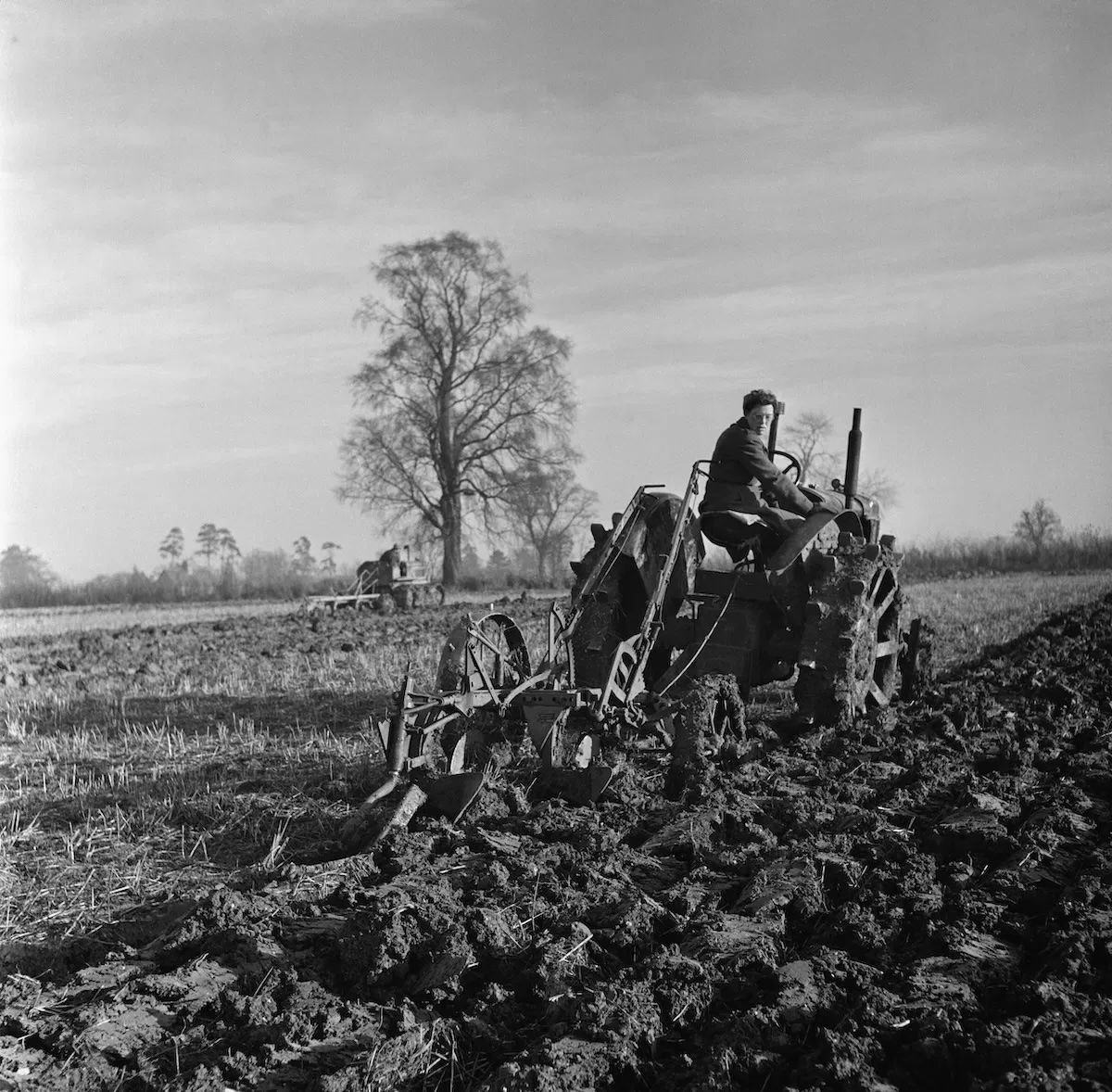 A farm worker ploughing a field in preparation for a crop of sugar beet, The Fens, 19 December 1946. Photo by Russell Westwood/Popperfoto/Getty Images.