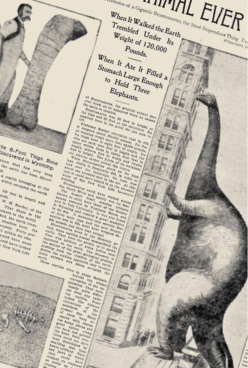 Page from the New York Journal and Advertiser on the discovery of a brontosaurus fossil, 1898. Library of Congress. Public Domain.