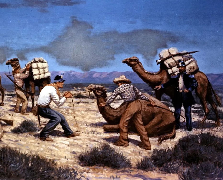 The Camel Express, illustration by Carl Rakeman for the Bureau of Public Roads, 1857. Federal Highway Administration. Public Domain.