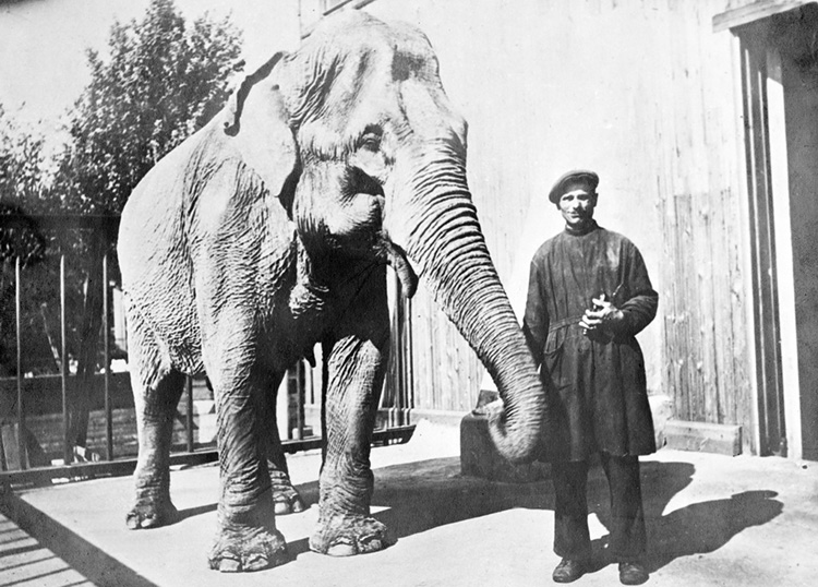 Betty with her caretaker, Leningrad Zoo, c.1932.