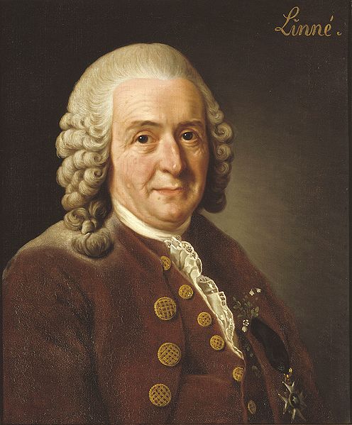 Carl von Linne, 1775