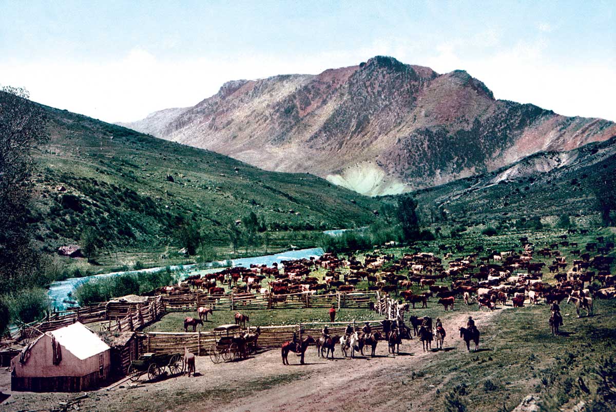 Cattle roundup on the Cimarron river, Colorado, 1898 © Bridgeman Images.