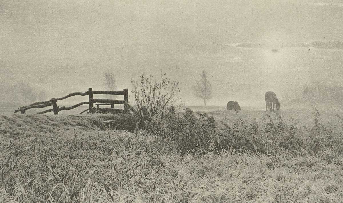 ​Pasture Landscape, Peter Henry Emerson, 1895. Rijksmuseum.