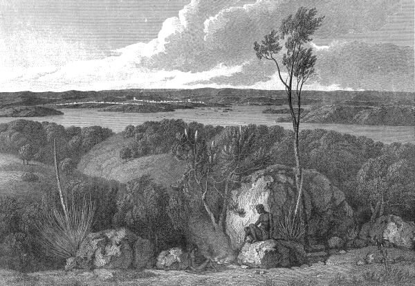 View of Port Jackson from Flinders' Voyage to Terra Australis