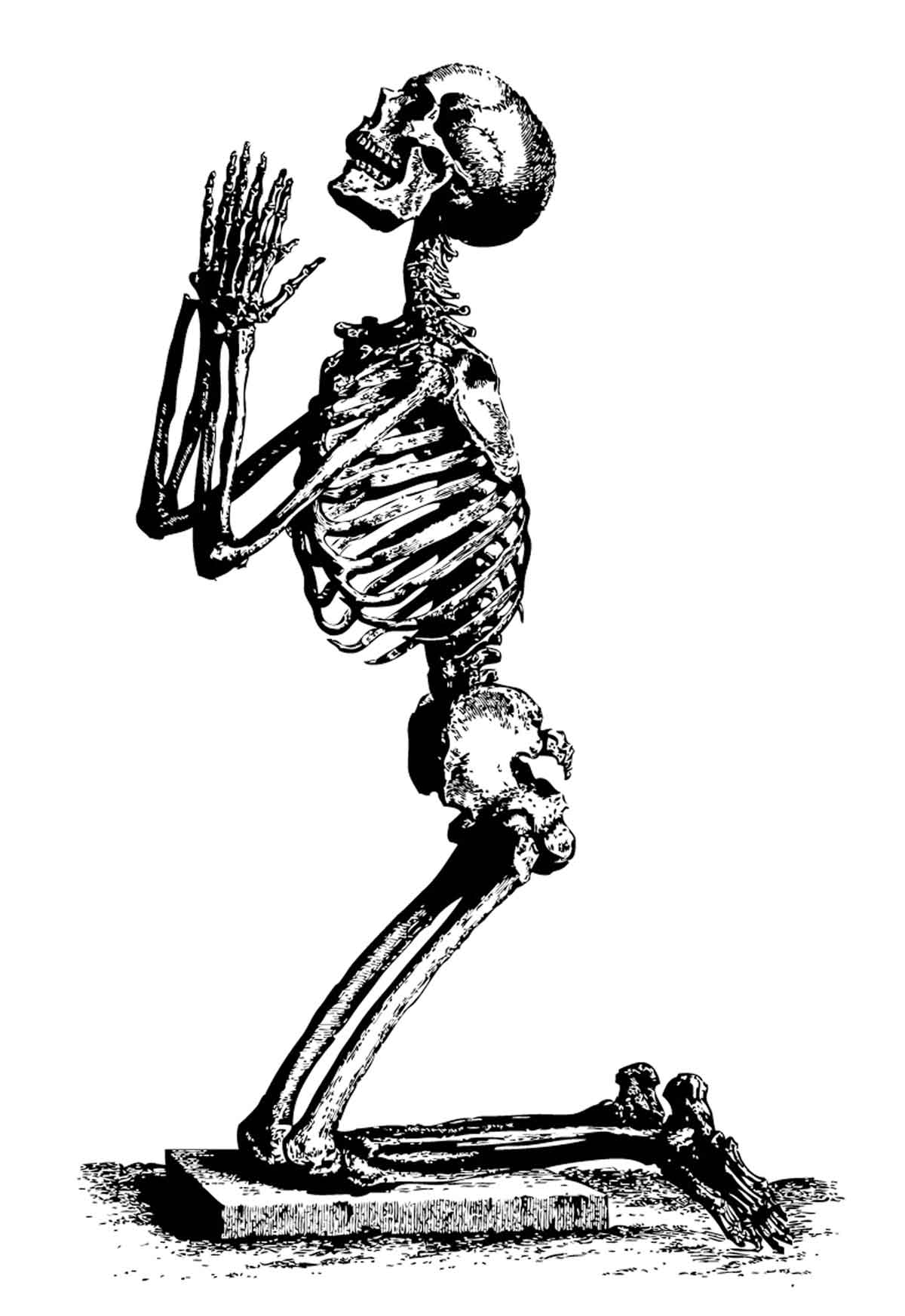 A praying skeleton portraying the Black Death, woodcut, 15th century © Bridgeman Images.