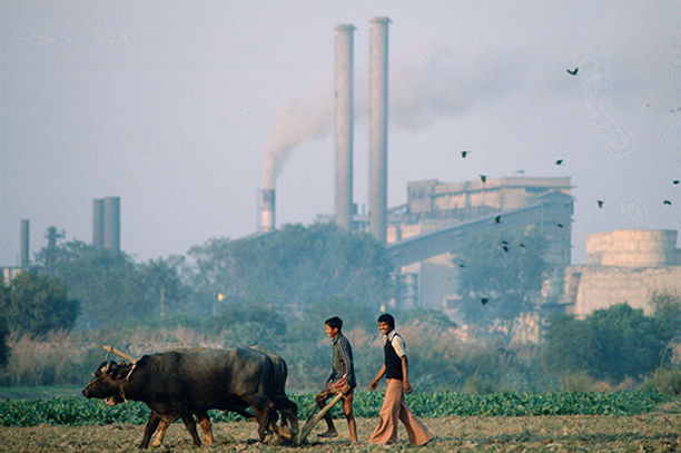 Man and beast: the pall of heavy industry hangs over Indian farmers using a traditional plough