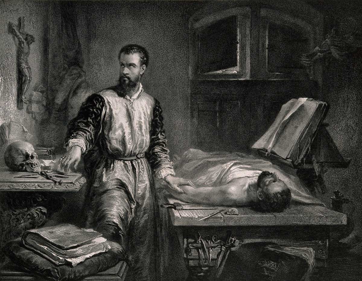 Andreasvesalius