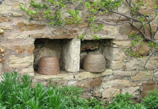 Bee boles, Kellie Castle garden, set in the niches in the south facing walls. Gwen and James Anderson / Bee boles, Kellie Castle garden / Wiki Commons. 