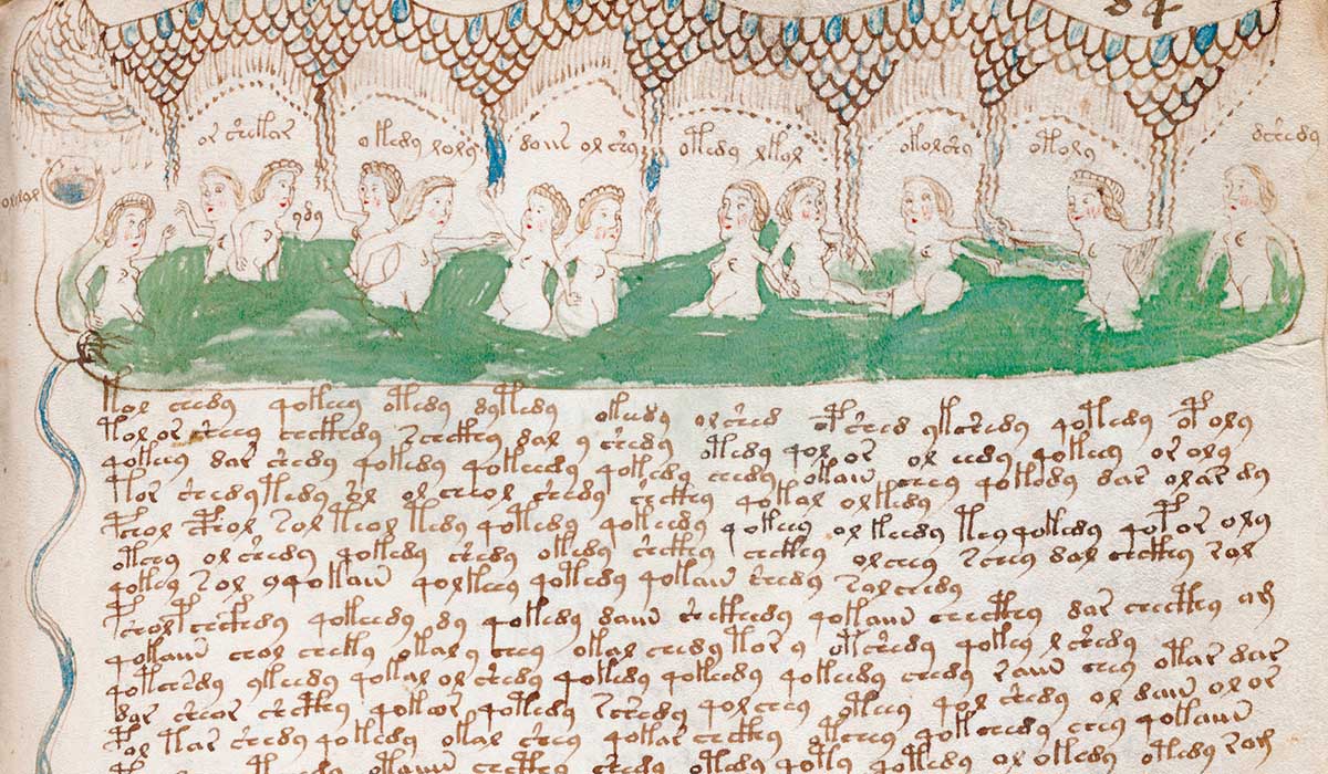 A detail from a ‘balneological’ page from the Voynich Manuscript © akg-images